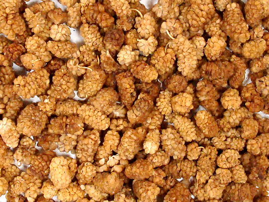 Mulberries, Raw Power (8 oz, raw, sun-dried, certified organic)