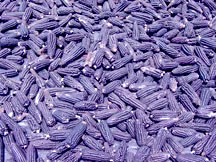 Purple Corn Extract Powder, Raw Power (100 g, raw, certified organic)