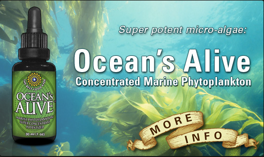 Ocean's Alive Marine Phytoplankton, 30 ml (1 oz)