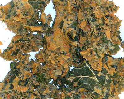 Quite Cheezy Kale Krunch, 2.2 oz (kale chips, raw, organic ingredients)