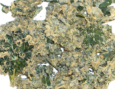 Southwest Ranch Kale Krunch, 2.2 oz (kale chips, raw, organic ingredients)