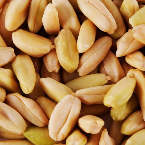 Pili Nuts, Volcanic, SJ Luxury (150g / 5.29oz, raw, wildcrafted