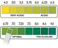 Diagnostic pH Test Strips (90 count)