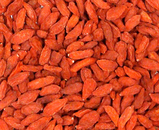 Goji Berries, Raw Power (8 oz, Premium Raw) 