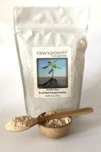 Brazil Nut Protein Powder, Raw Power (16 oz, Premium)