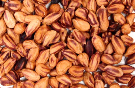 Jungle Peanuts, Raw Power (8 oz, Premium Raw)