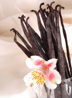 Vanilla Beans, Raw Power (5 whole raw vanilla beans in a glass tube and cork, sun-cured, wildcrafted)