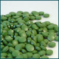 Click to enlarge Chlorella/Kelp Tablets, Cold-Pressed, Raw Power (1000 count, 250g/8.8oz)